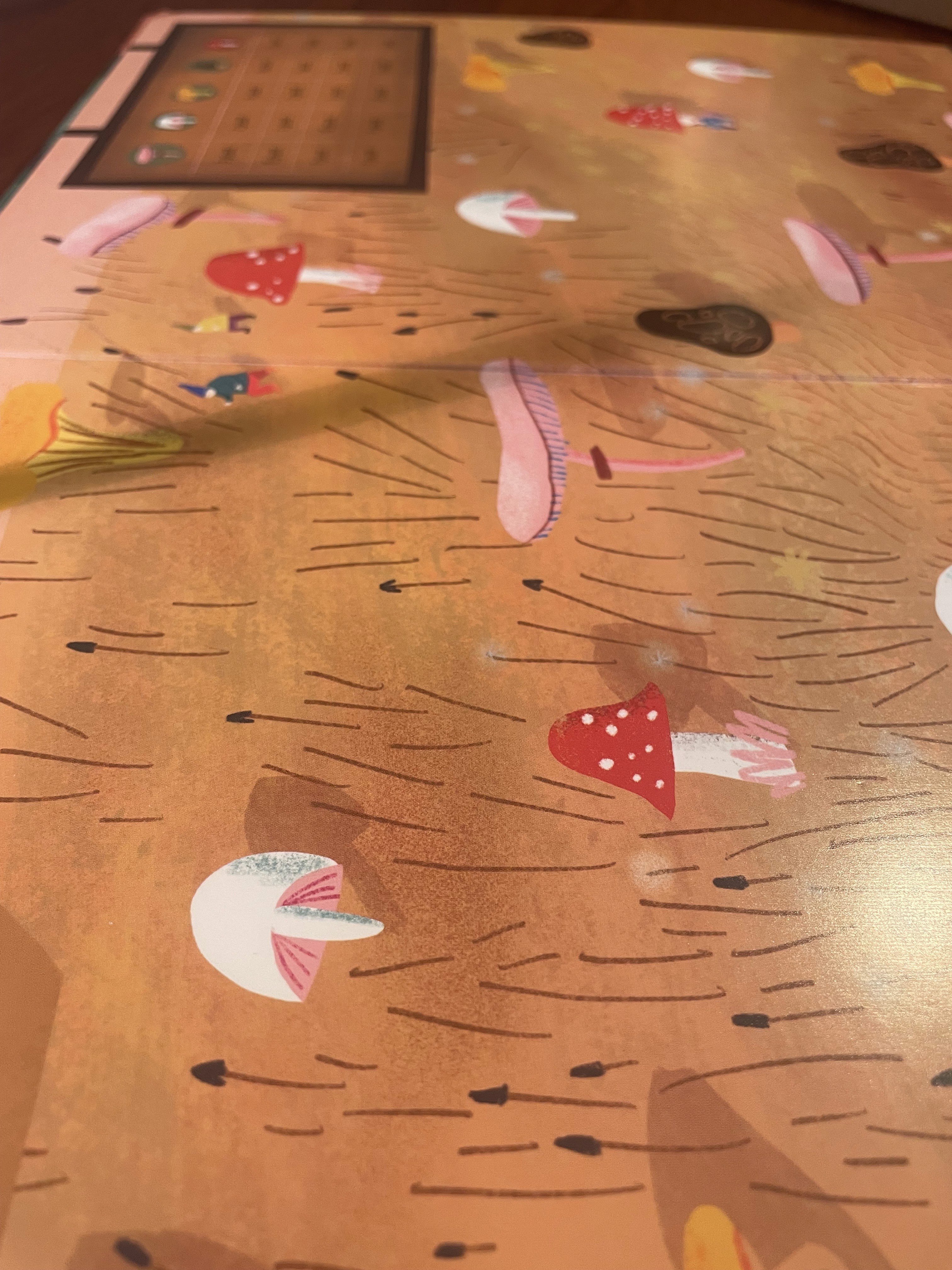 Creative play in nature with natural materials