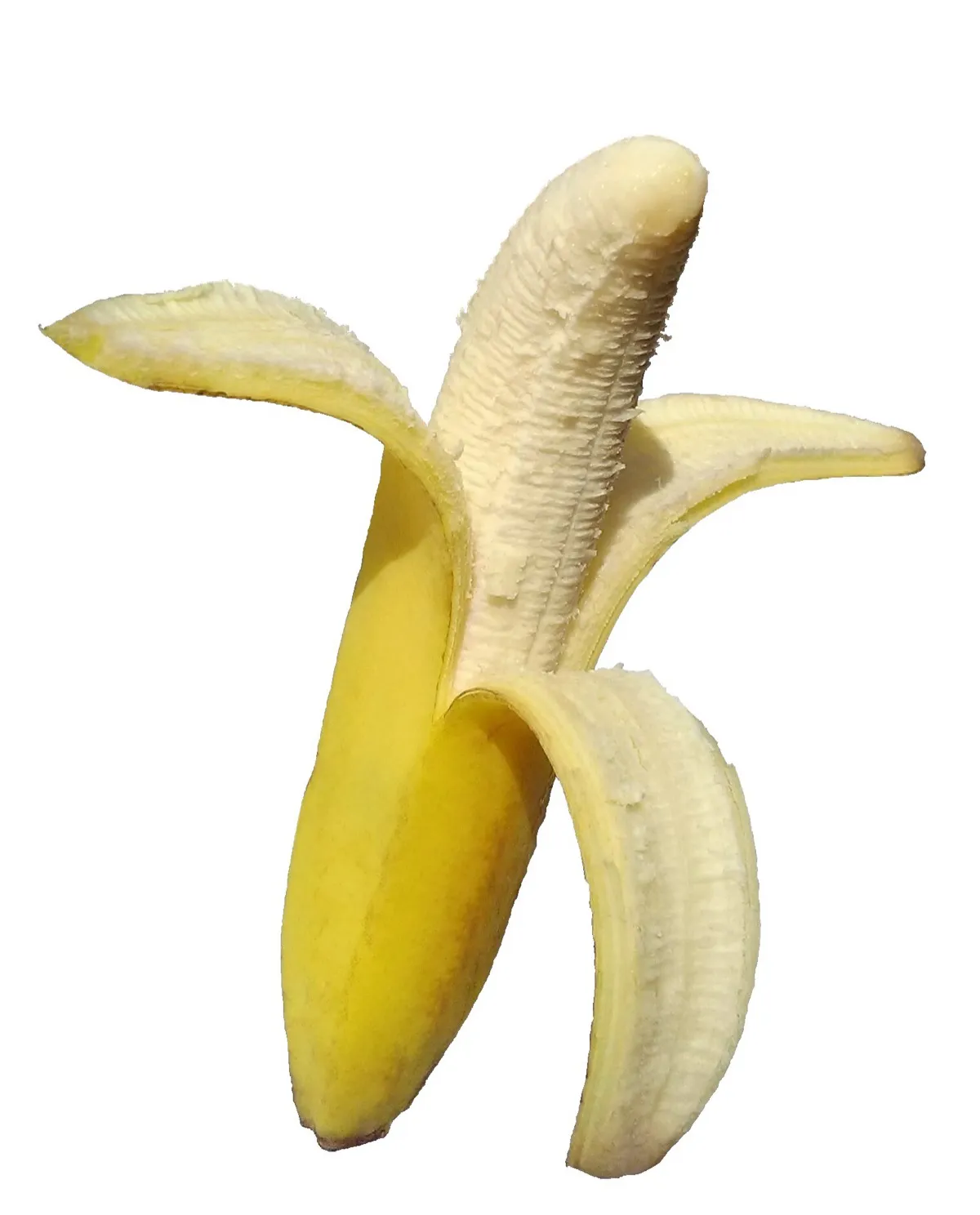 Win, Lose or Banana - Main Image